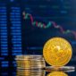 (Foto : Doc. Istimewa) Para investor tetap optimis terhadap masa depan Crypto