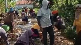 Terlihat dalam video masyarakat kompak melakukan perbaikan jalan rusak dengan material seadanya. (Screnshot TikTok Sulaisi_Abdurrazaq).