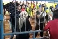 Aksi kekerasan yang terekam kamera yang diduga dilakukan oleh oknum anggota PM Bangkalan. (Odc. Screnshot TimesIN).