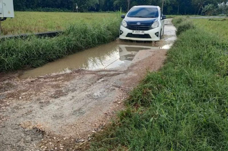 Kondisi ruas jalan di Dusun Bogem, Desa Sendir yang mengalami kerusakan parah. (Doc. TimesIN).