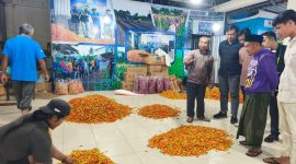 Petani milenial Sumenep saat melakukan studi banding ke Yogyakarta.