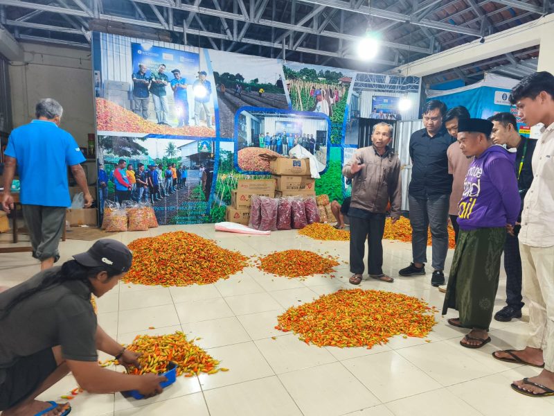 Petani milenial Sumenep saat melakukan studi banding ke Yogyakarta.