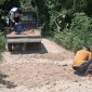Foto: Di tengah minimnya respons pemerintah, warga Banbaru Giliraja bergotong royong memperbaiki akses jalan utama yang sudah lama rusak.