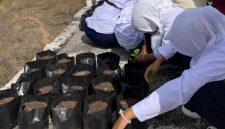 Kegiatan tanam- menanam green garden bersama siswa SMP Islam Al-Anwar (Dok. KKN POSKO 24)