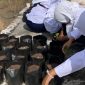 Kegiatan tanam- menanam green garden bersama siswa SMP Islam Al-Anwar (Dok. KKN POSKO 24)