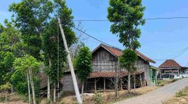 foto: Tiang listrik dalam kondisi miring di dekat rumah warga di Dusun Lembanah, Desa Tlambah, Kecamatan Karangpenang, Kabupaten Sampang, yang dikhawatirkan roboh dan membahayakan permukiman.