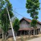 foto: Tiang listrik dalam kondisi miring di dekat rumah warga di Dusun Lembanah, Desa Tlambah, Kecamatan Karangpenang, Kabupaten Sampang, yang dikhawatirkan roboh dan membahayakan permukiman.
